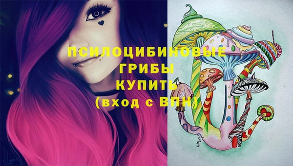 спайс Аркадак