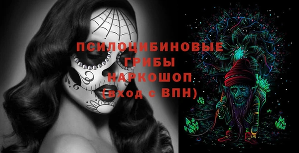 спайс Аркадак